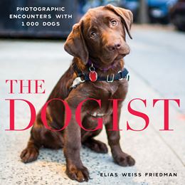 DOGIST: PHOTOGRAPHIC ENCOUNTERS (ARTISAN) (HB)