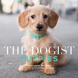 DOGIST: PUPPIES (ARTISAN)