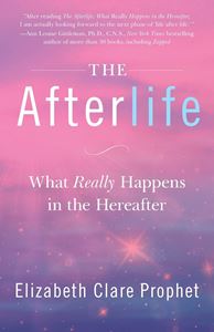 AFTERLIFE (SUMMIT UNIVERSITY PRESS)