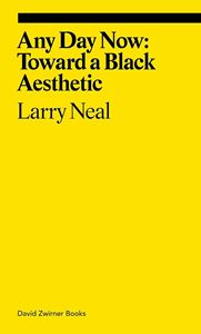 ANY DAY NOW: TOWARD A BLACK AESTHETIC (DAVID ZWIRNER) (PB)