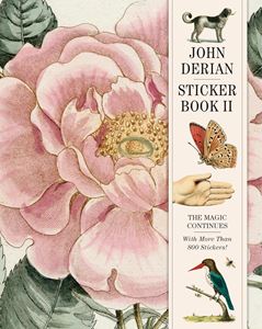JOHN DERIAN STICKER BOOK II (ARTISAN) (HB)