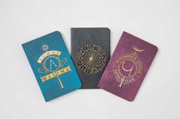 HARRY POTTER: SPELLS POCKET JOURNAL COLLECTION SET