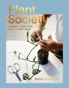 PLANT SOCIETY: CREATE AN INDOOR OASIS