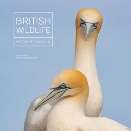 BRITISH WILDLIFE PHOTOGRAPHY AWARDS 10 (AMMONITE) (HB)