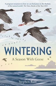 WINTERING: A SEASON WITH GEESE (PB)