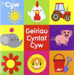 GEIRIAU CYNTAF CYW (CHICKS FIRST WORDS IN WELSH) (PB)