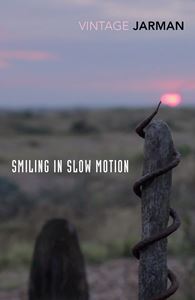 SMILING IN SLOW MOTION: JOURNALS 1991-1994 (VINTAGE CLASSICS