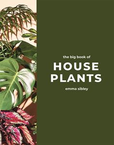 BIG BOOK OF HOUSE PLANTS (HB)