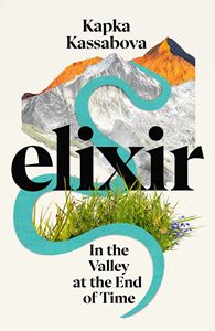 ELIXIR: IN THE VALLEY AT THE END OF TIME (HB)