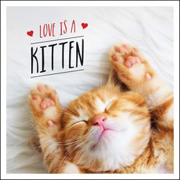 LOVE IS A KITTEN