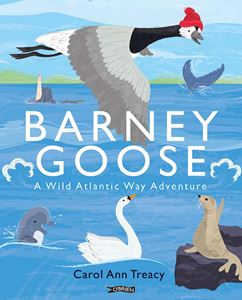 BARNEY GOOSE: A WILD ATLANTIC WAY ADVENTURE (HB)