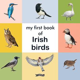 MY FIRST BOOK OF IRISH BIRDS (BOARD)