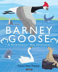 BARNEY GOOSE: A WILD ATLANTIC WAY ADVENTURE (PB)