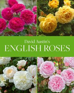 DAVID AUSTINS ENGLISH ROSES (ACC ART)