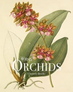 RHS ORCHIDS (ACC ART BOOKS)