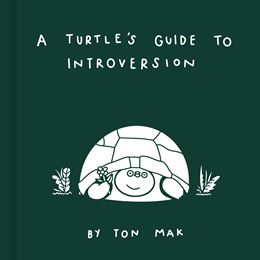 TURTLES GUIDE TO INTROVERSION