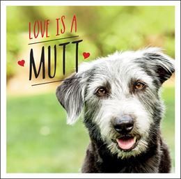 LOVE IS A MUTT