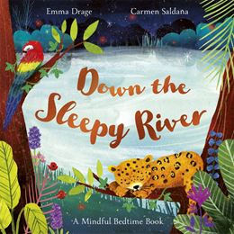 DOWN THE SLEEPY RIVER: A MINDFUL BEDTIME BOOK (PB)