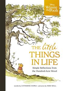 WINNIE THE POOH: THE LITTLE THINGS IN LIFE (STUDIO PRESS) HB