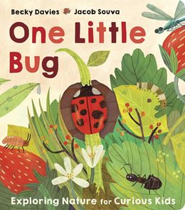 ONE LITTLE BUG (LIFT THE FLAP) (BOARD)