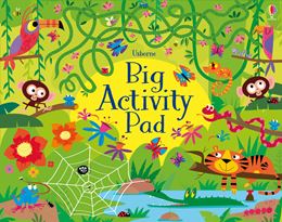 BIG ACTIVITY PAD (USBORNE) (PB)