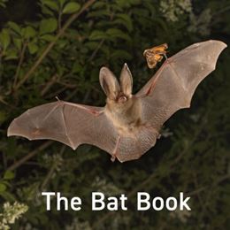 BAT BOOK (GRAFFEG NATURE SERIES) (HB)