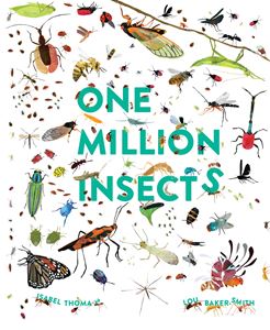 ONE MILLION INSECTS (PB)