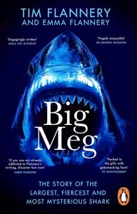 BIG MEG: THE STORY OF THE LARGEST/ SHARK (PB)