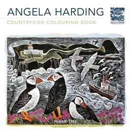 ANGELA HARDING COUNTRYSIDE COLOURING BOOK (PB)