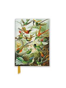 ERNST HAECKEL HUMMINGBIRDS FOILED RULED POCKET JOURNAL (HB)