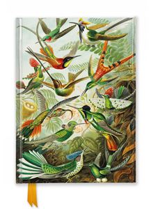 ERNST HAECKEL HUMMINGBIRDS FOILED RULED QUARTO JOURNAL (HB)