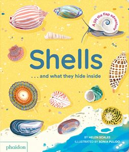 SHELLS AND WHAT THEY HIDE INSIDE (LIFT THE FLAP) (BOARD)