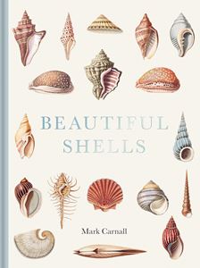 BEAUTIFUL SHELLS (HB)