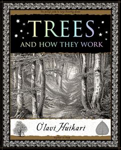 TREES AND HOW THEY WORK (WOODEN BOOKS) (PB)