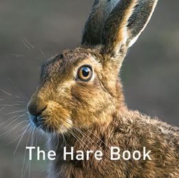 HARE BOOK (GRAFFEG)