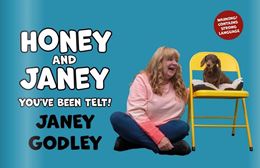 HONEY AND JANEY: YOUVE BEEN TELT (STRONG LANGUAGE ED) HB)