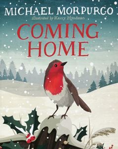 COMING HOME (DAVID FICKLING BOOKS) (PB)