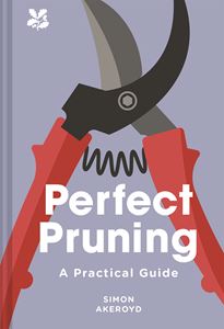 PERFECT PRUNING: A PRACTICAL GUIDE