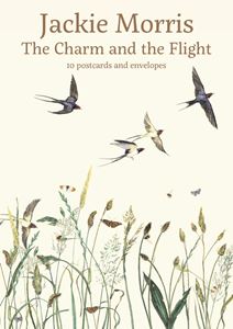 CHARM AND THE FLIGHT POSTCARDS BOX