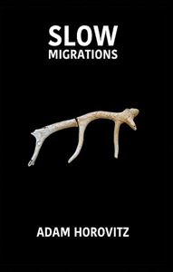 SLOW MIGRATIONS (INDIGO DREAMS) (PB)