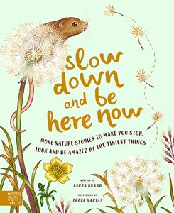 SLOW DOWN AND BE HERE NOW (MAGIC CAT) (HB)