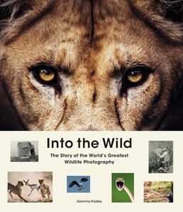 INTO THE WILD (WILDLIFE PHOTOGRAPHY) (HB)