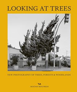 LOOKING AT TREES (HOXTON MINI PRESS) (HB)