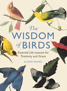 WISDOM OF BIRDS: ESSENTIAL LIFE LESSONS (HB)