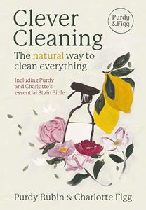 CLEVER CLEANING (NEW RIVER) (HB)