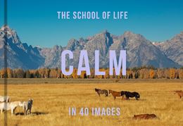 CALM IN 40 IMAGES (SCHOOL OF LIFE) (HB)