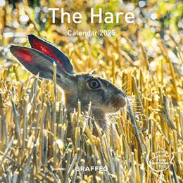 HARE CALENDAR 2026