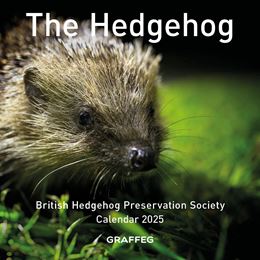 HEDGEHOG CALENDAR 2026