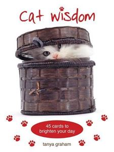 CAT WISDOM CARDS (BLUE ANGEL) (NEW)