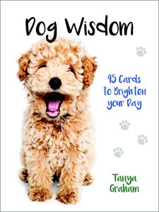 DOG WISDOM: 45 CARDS TO BRIGHTEN YOUR DAY (BLUE ANGEL)